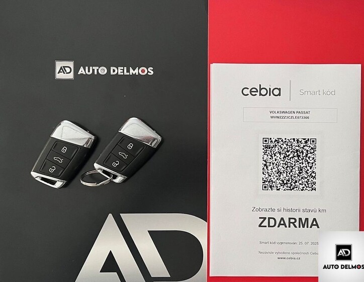 Volkswagen Passat 19