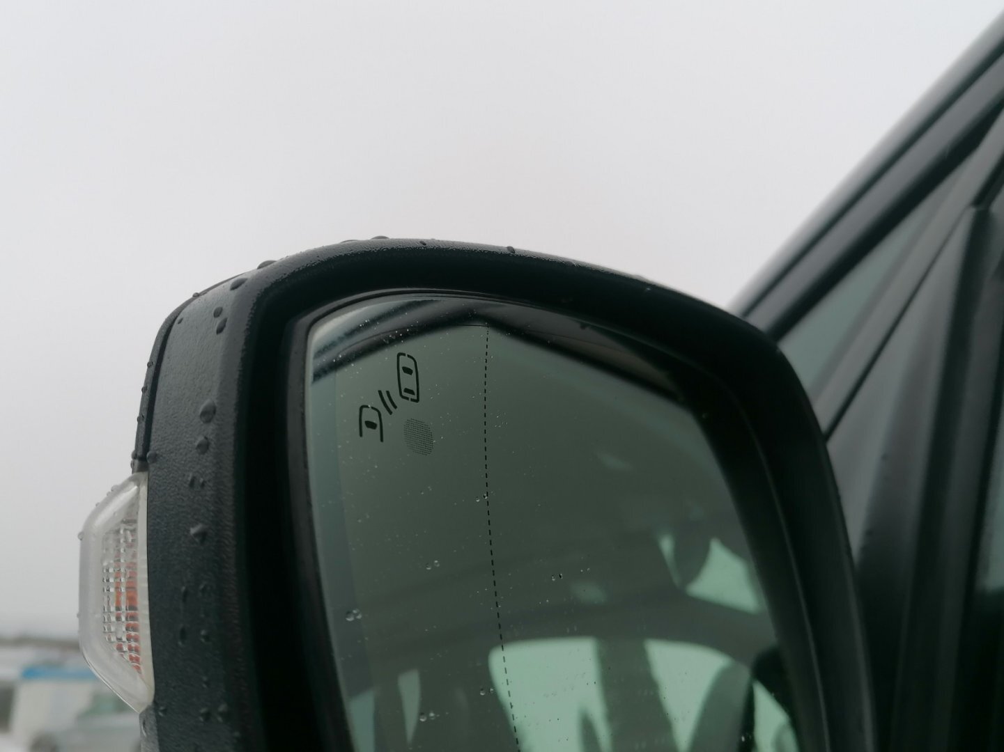 Ford S-MAX Ostatní 2,0 l 110 kw