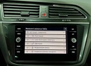 Volkswagen Tiguan 19