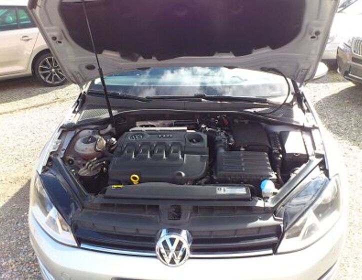 Volkswagen Golf 16