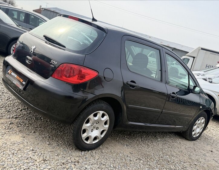 Peugeot 307 Hatchback 1,6 l 80 kw