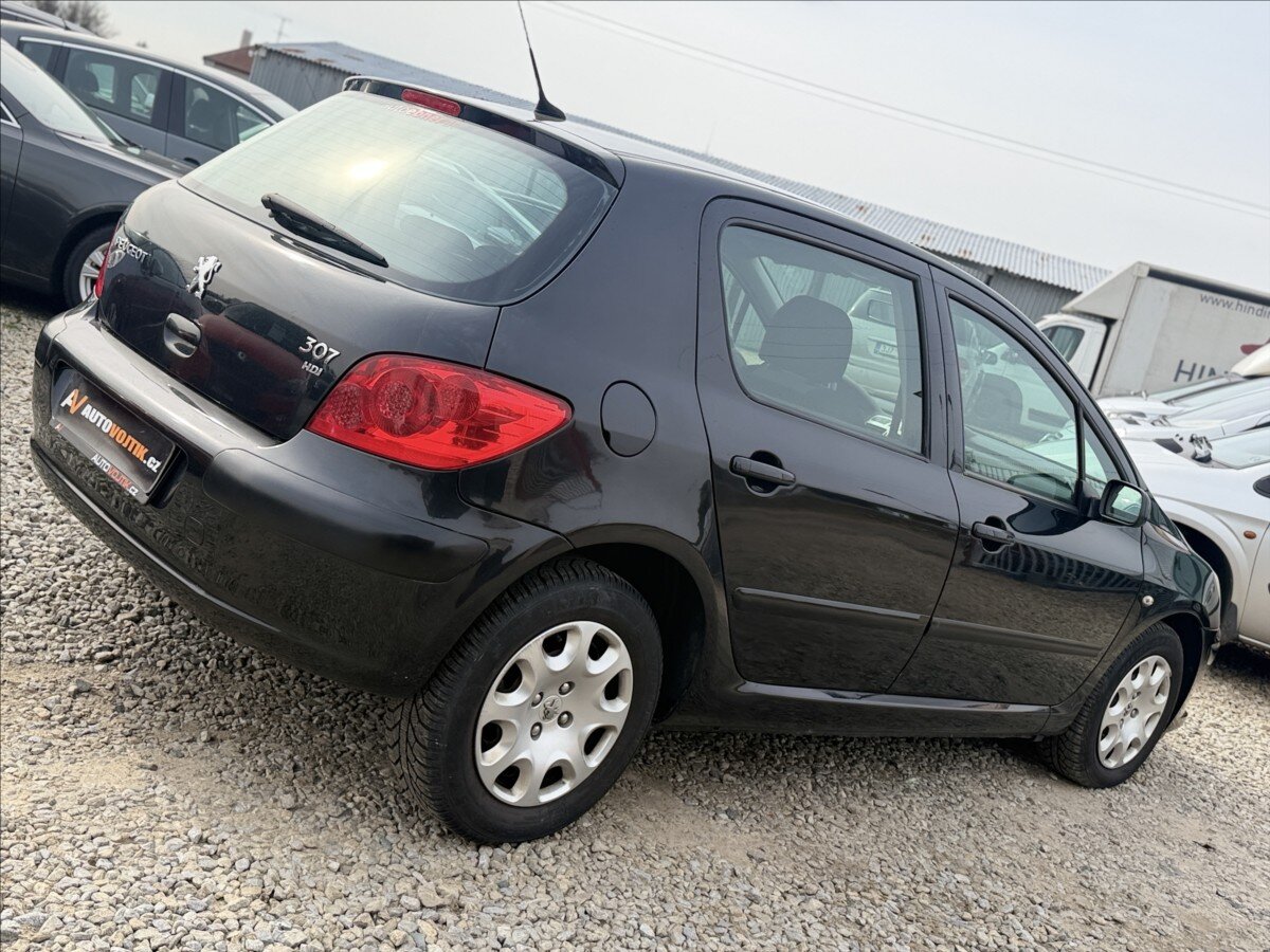 Peugeot 307 Hatchback 1,6 l 80 kw