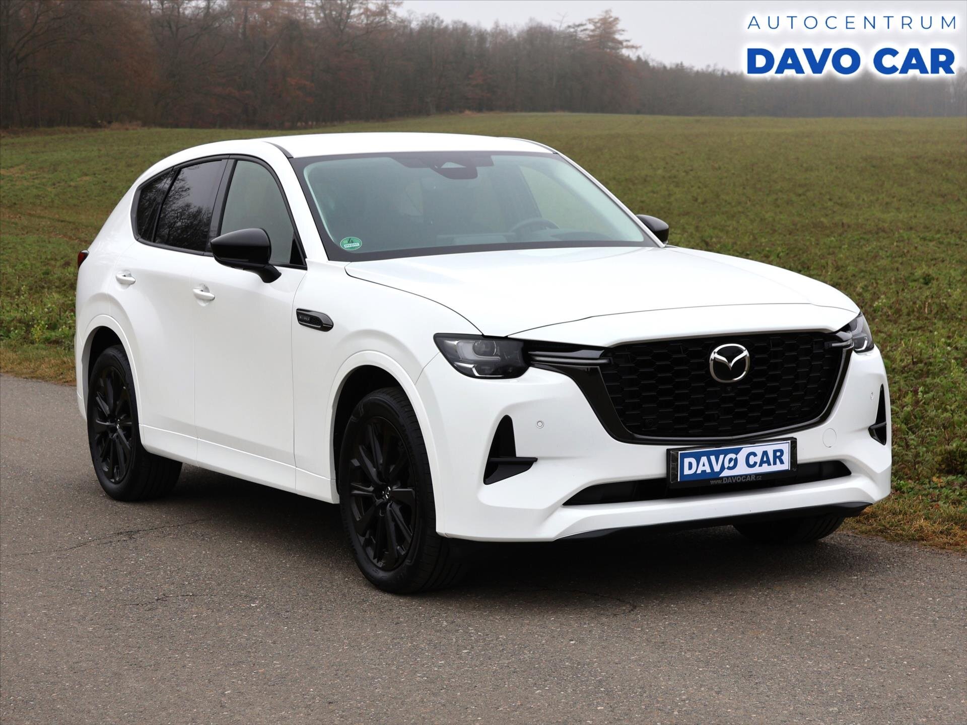 Mazda CX-60 SUV / Terénní 3,3 l 187 kw