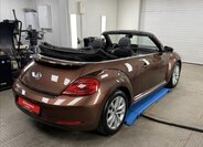Volkswagen Beetle 6