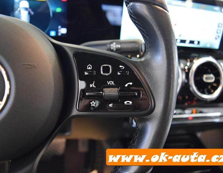 Mercedes-Benz Třídy B MPV 2,0 l 110 kw