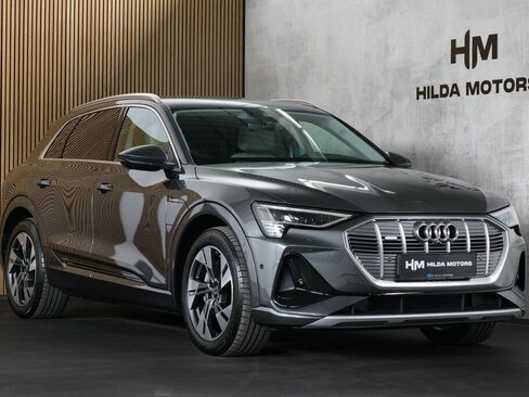Audi e-tron SUV / Terénní 0,0 300 kw