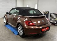 Volkswagen Beetle 10