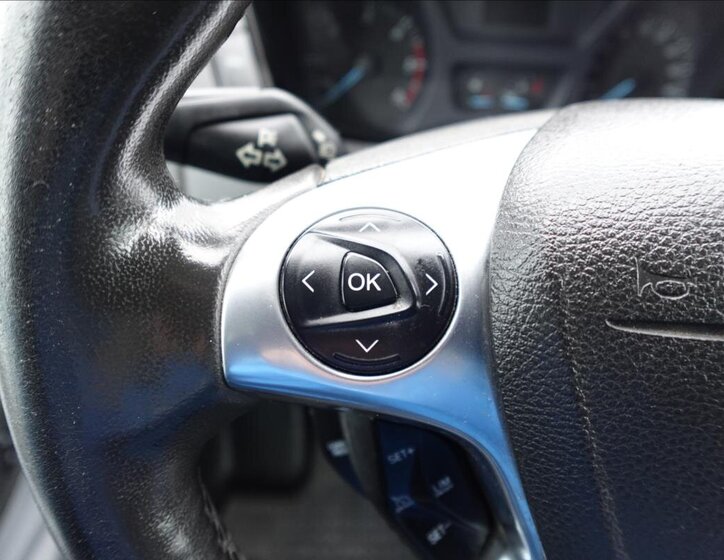 Ford Transit Ostatní 2,0 l 125 kw