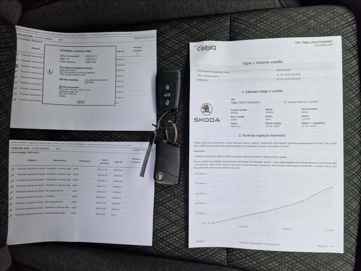 Škoda Karoq SUV 2,0 l 110 kw