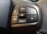 Ford Mustang Mach-E 29