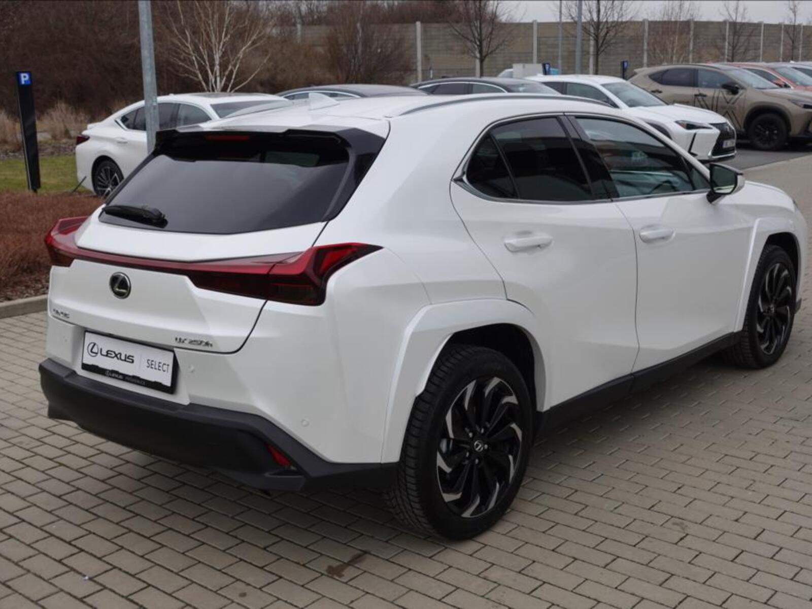 Lexus UX 250h 5
