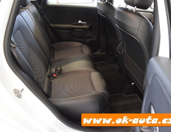 Mercedes-Benz Třídy B MPV 2,0 l 110 kw