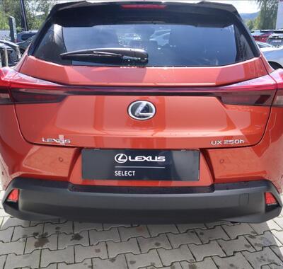 Lexus UX 250h 9