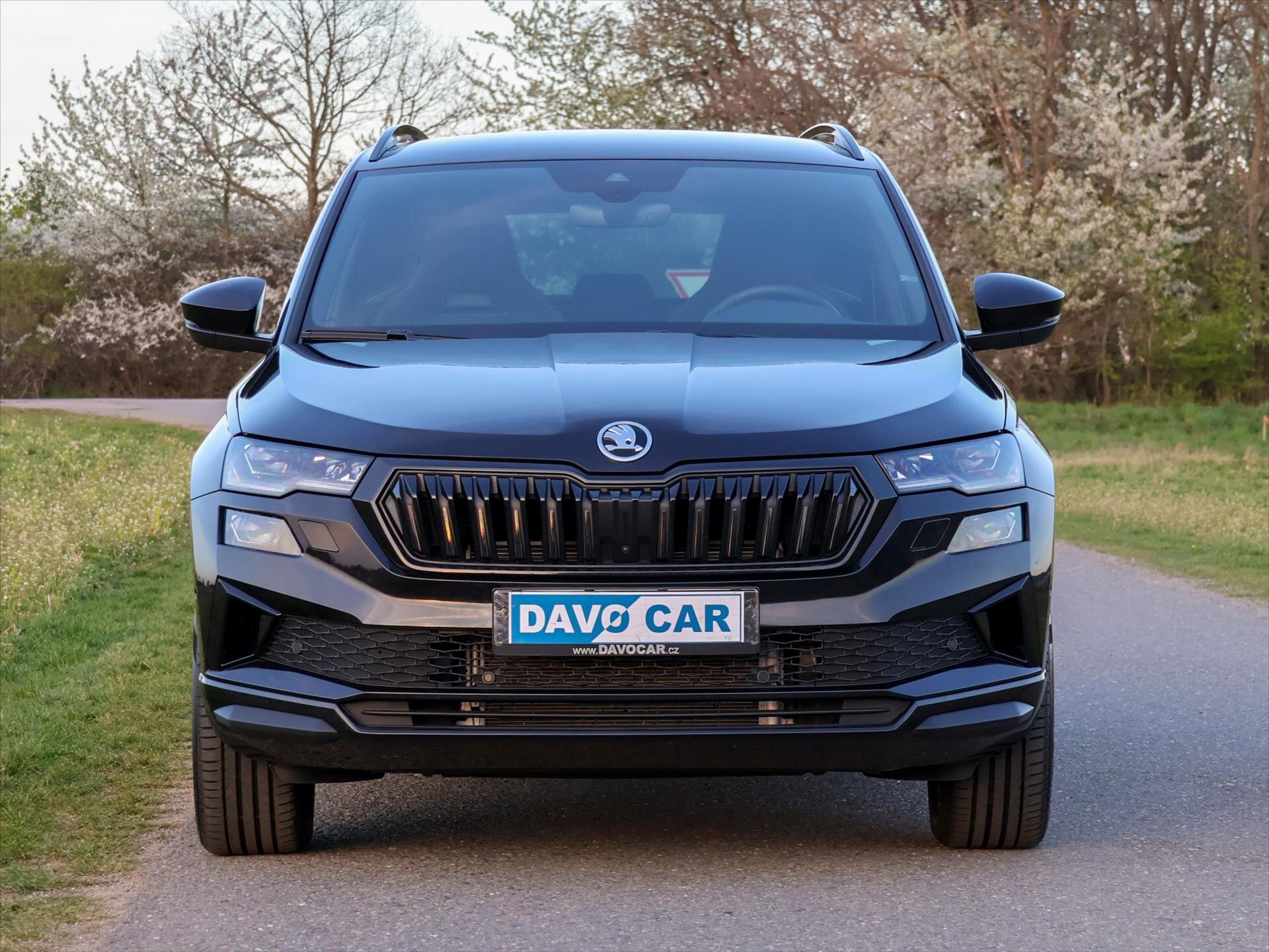 Škoda Karoq SUV / Terénní 2,0 l 110 kw