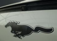 Ford Mustang Mach-E 43