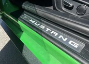 Ford Mustang Ostatní 5,0 l 551 kw