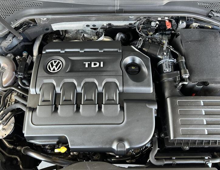 Volkswagen Golf 24