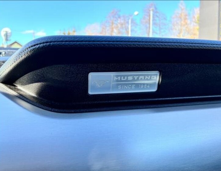 Ford Mustang Kabriolet 5,0 l 310 kw