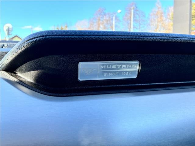 Ford Mustang Kabriolet 5,0 l 310 kw