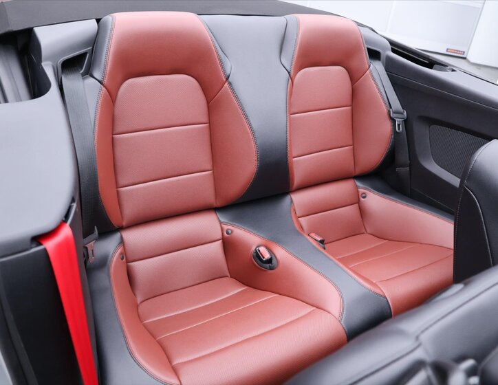 Ford Mustang Kabriolet 5,0 l 310 kw