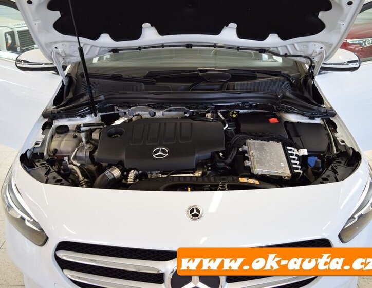 Mercedes-Benz Třídy B MPV 2,0 l 110 kw