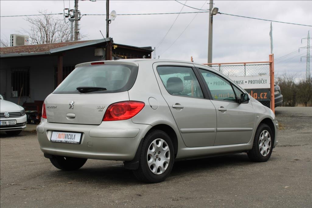 Peugeot 307 Hatchback 1,6 l 66 kw