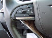 Cadillac Escalade 31