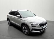 Škoda Karoq 6