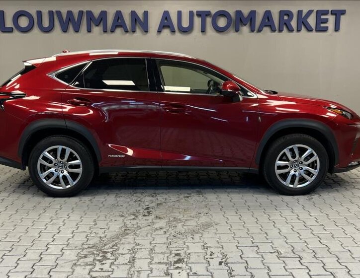 Lexus NX 300h 14