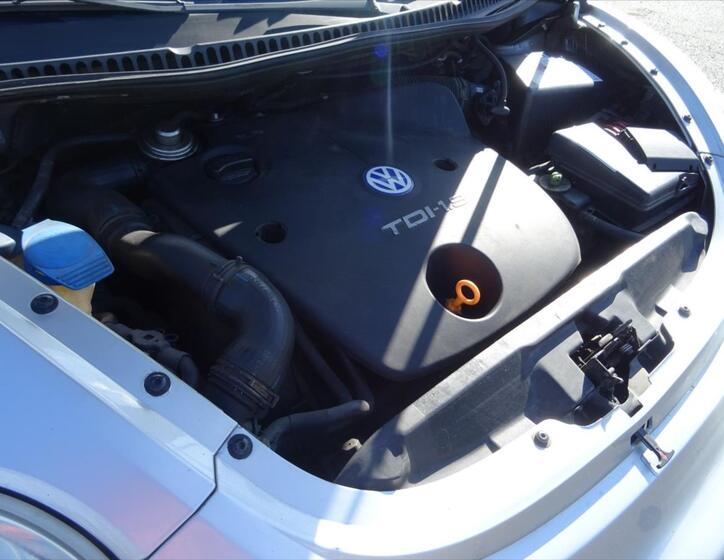 Volkswagen New Beetle 23