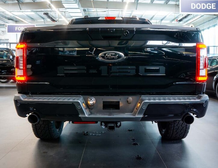 Ford F-150 Pick-up 5,0 l 298 kw