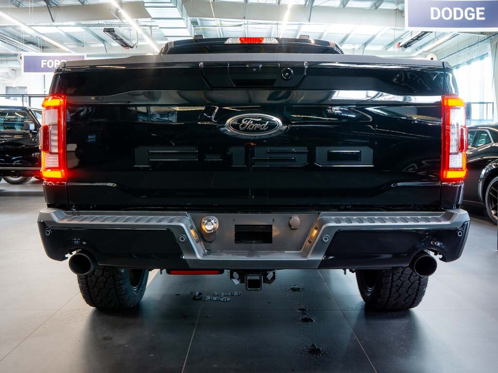 Ford F-150 Pick-up 5,0 l 298 kw