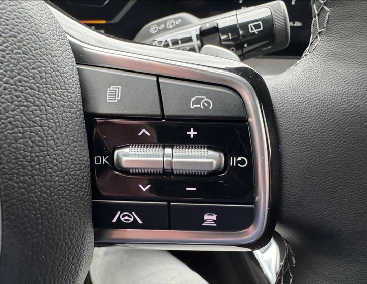 KIA Sorento SUV / Terénní 2,2 l 142 kw