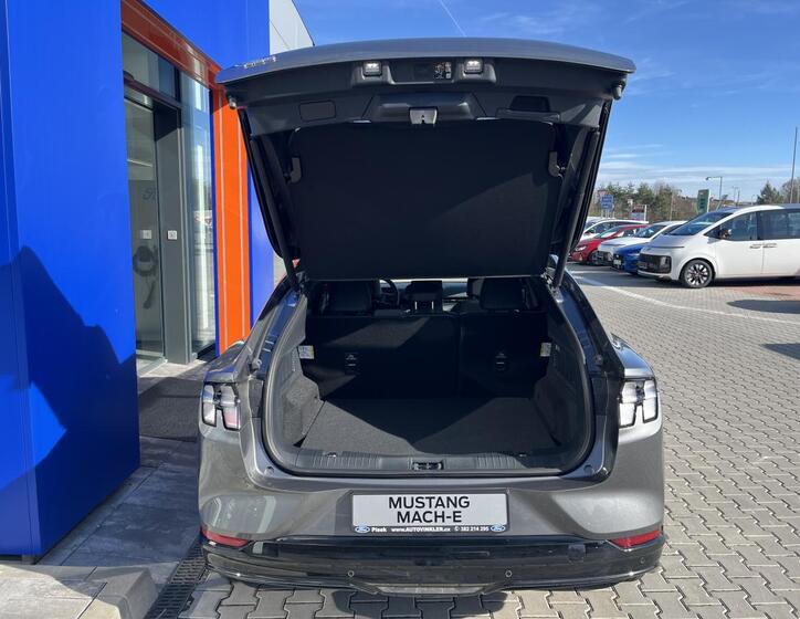 Ford Mustang Mach-E 7