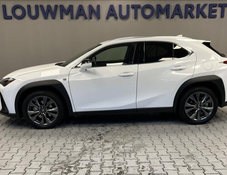 Lexus UX 300h 3