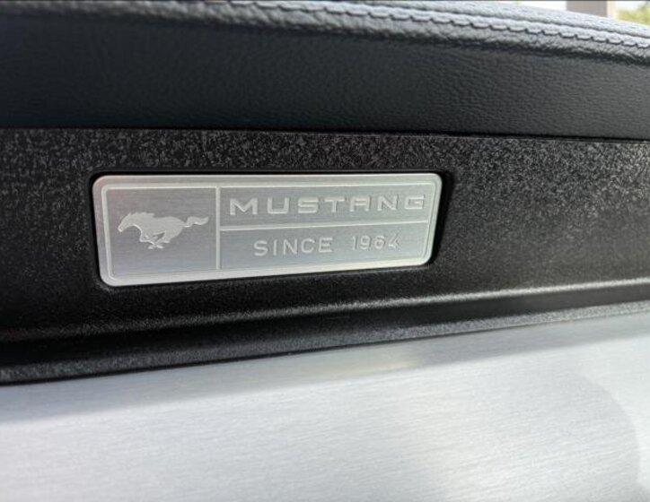 Ford Mustang Kabriolet 5,0 l 310 kw