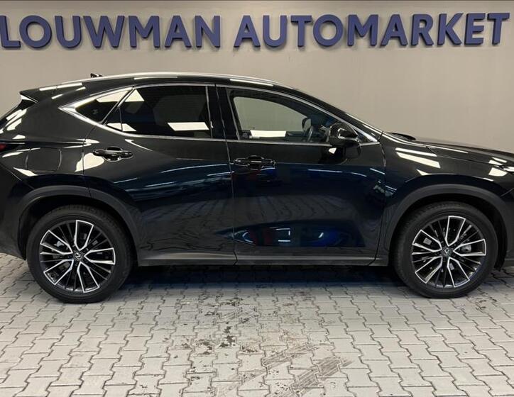 Lexus NX 450h plus 14