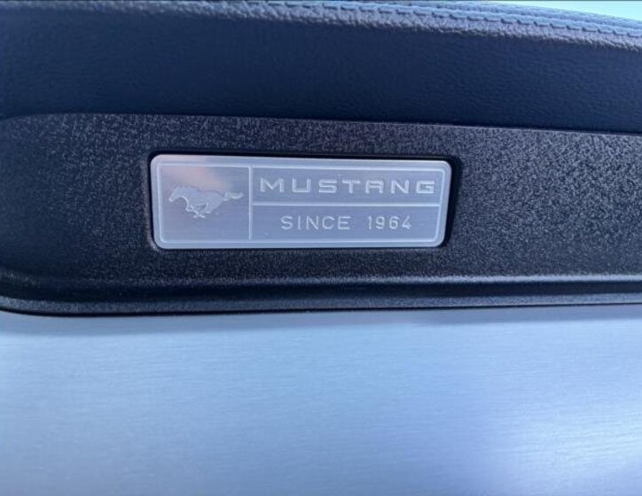 Ford Mustang Kabriolet 5,0 l 310 kw