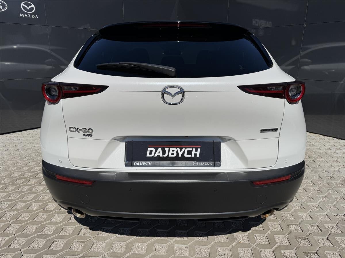 Mazda CX-30 CUV / Crossover 2,0 l 132 kw