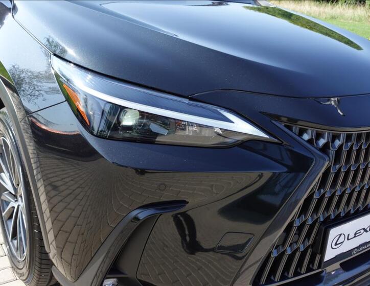 Lexus NX 450h plus 39