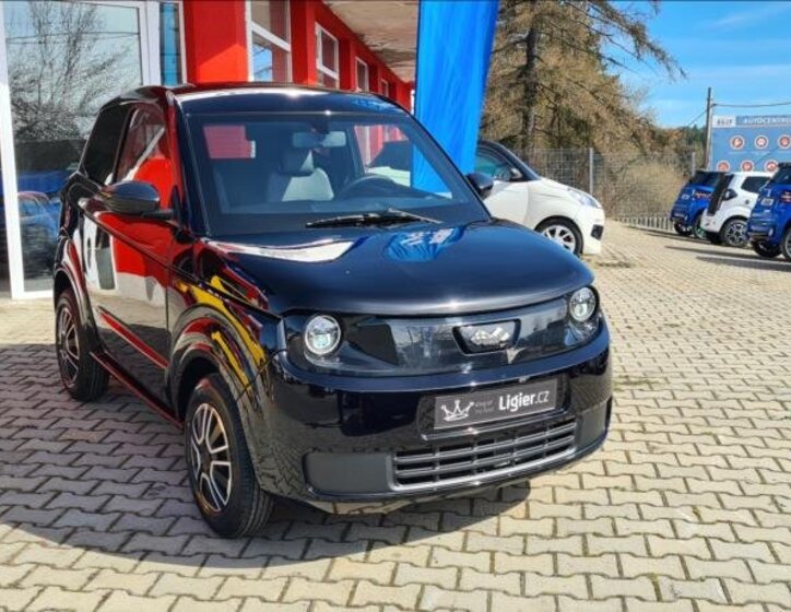 Ligier Ostatní Hatchback 499,0 6 kw