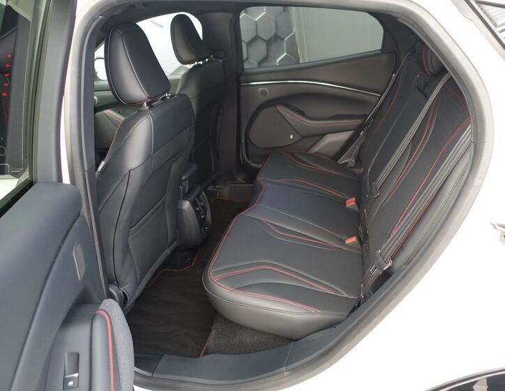 Ford Mustang Mach-E 32