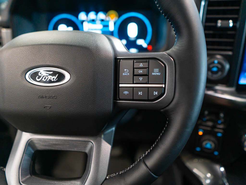 Ford F-150 Pick-up 5,0 l 298 kw