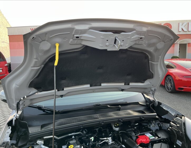 Ford Puma Hatchback 999,0 92 kw