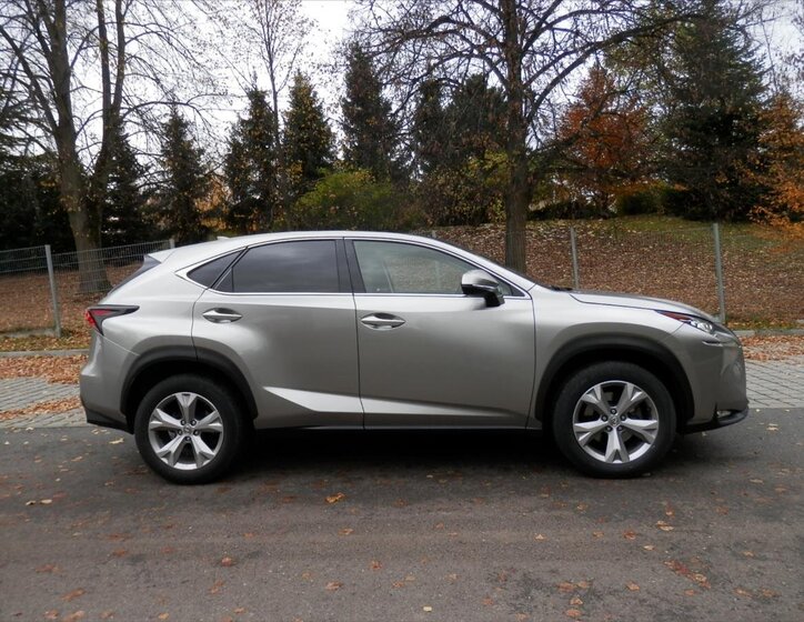 Lexus NX 300h 10