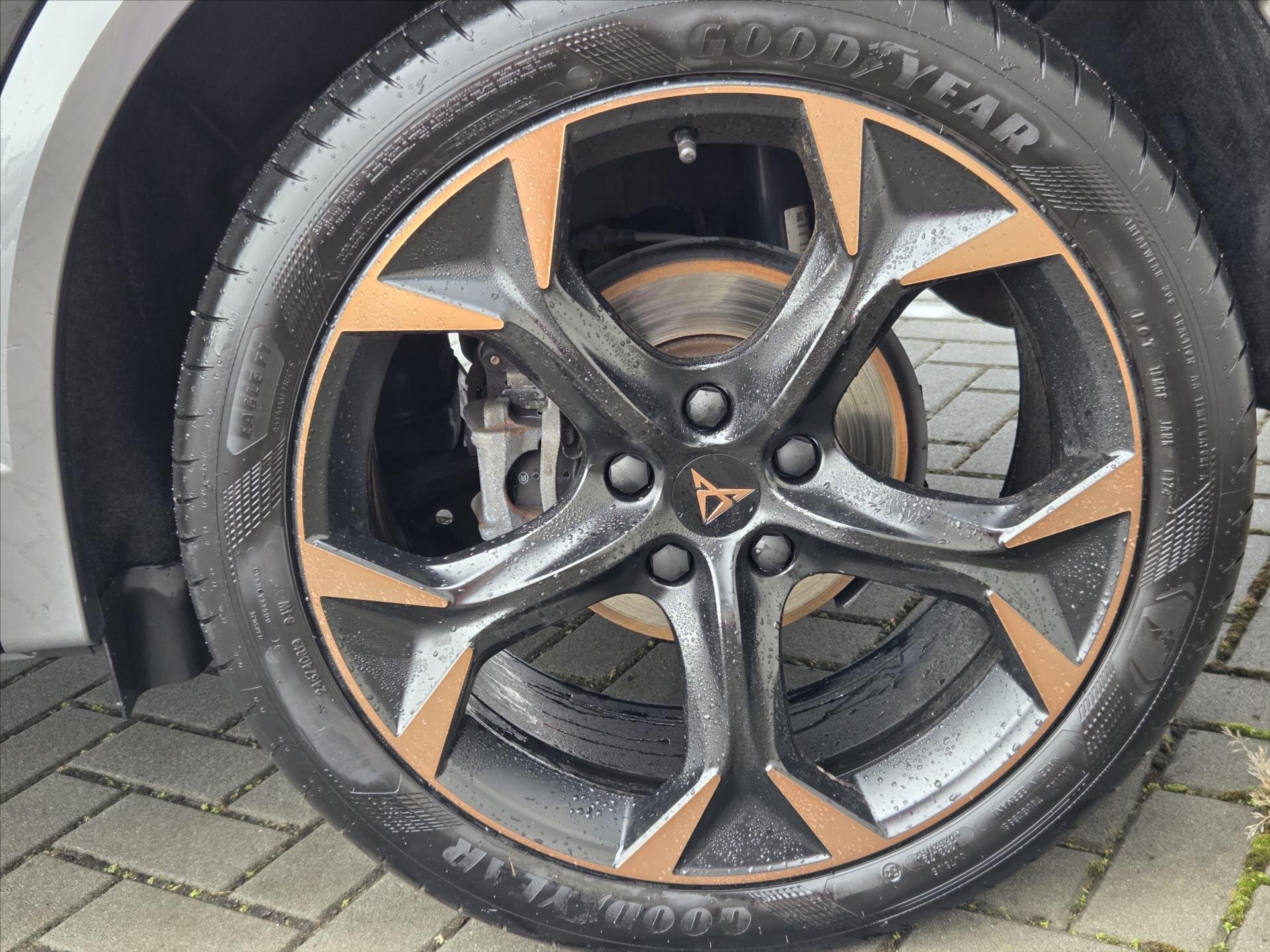 Cupra Formentor SUV 2,0 l 110 kw