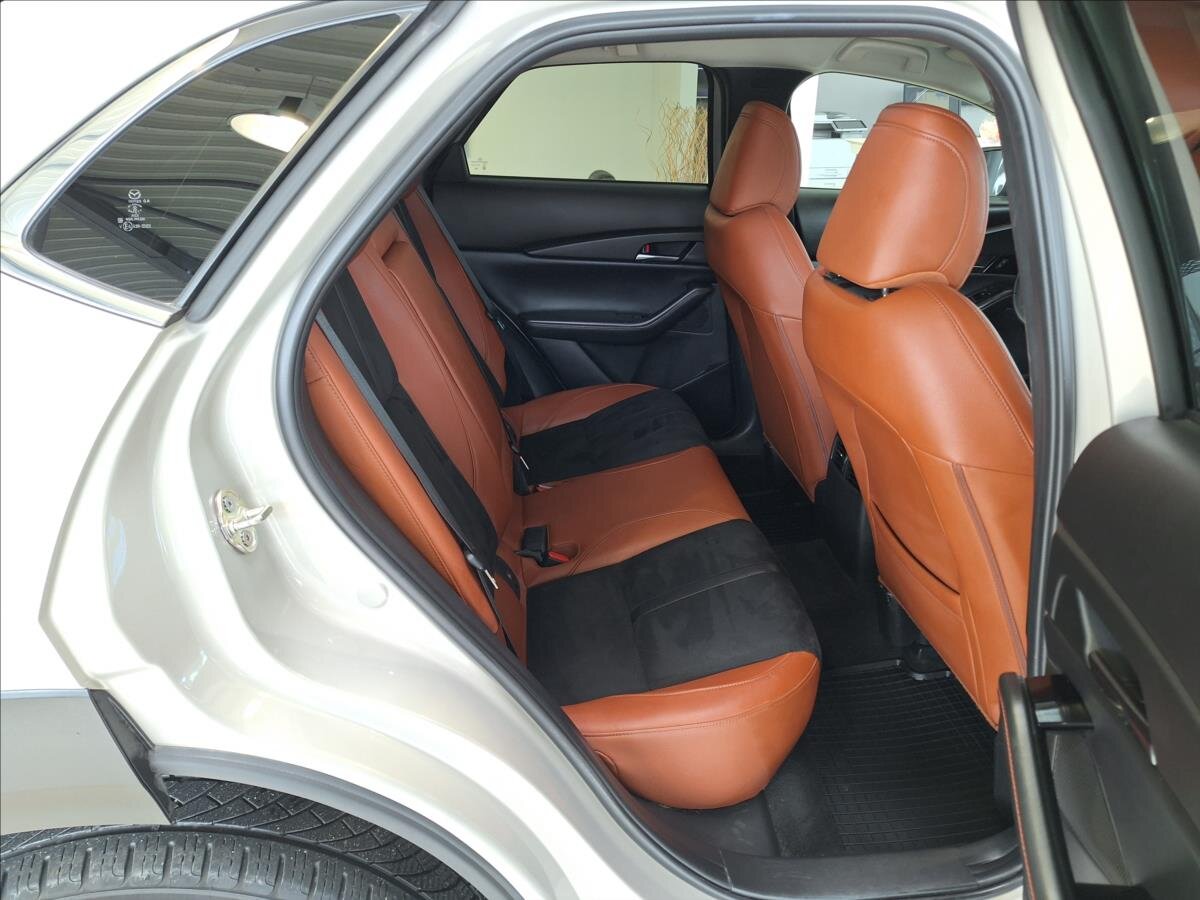 Mazda CX-30 SUV 2,0 l 110 kw