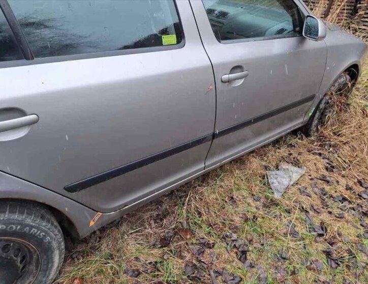 Škoda Octavia Ostatní 2,0 l 103 kw