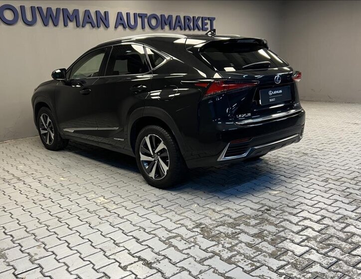 Lexus NX 300h 13