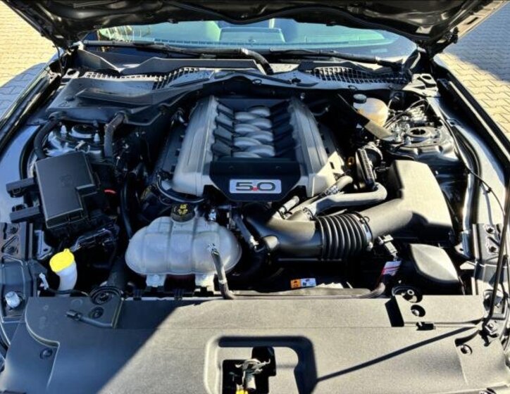 Ford Mustang Kabriolet 5,0 l 310 kw